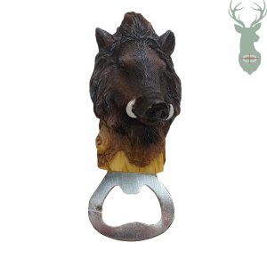 Bottle opener with magnet