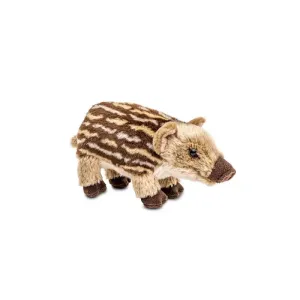 Small cuddly wild boar