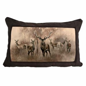 Pillow 70x50