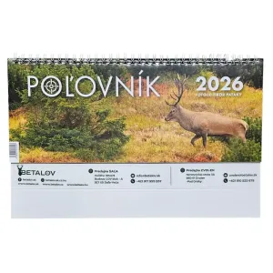 Picture desk calendar 2026