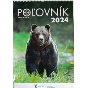Picture wall calendar 2024