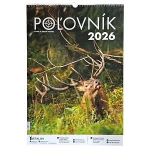 Picture wall calendar 2026