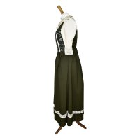 Dorothy's dress