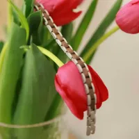 Element Brown wooden bracelet