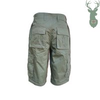 Loshan green shorts