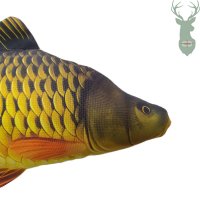 Plush carp