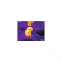 Night Pearl FOX 35 ELITE II thermal imaging sight