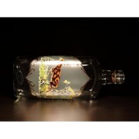 Jagerglass - Set with 0,5l bottle + 30 ml stemmed liqueur glass