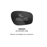 Mechanix Tactical shooting glasses Type-N - Smoke Frame