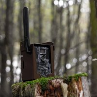 TenoTrail EasySend photo trap box