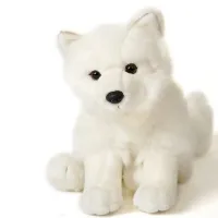 Arctic Fox 23cm