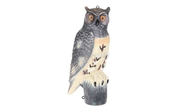Owl 20.5