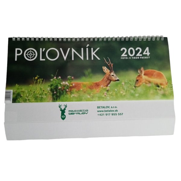 Picture desk calendar 2024
