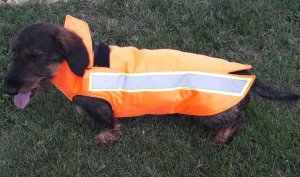 Kevlar vest for dog