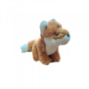 Little fox