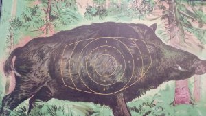 Paper target
