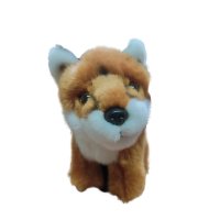 Little fox