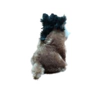 Stuffed wild boar II